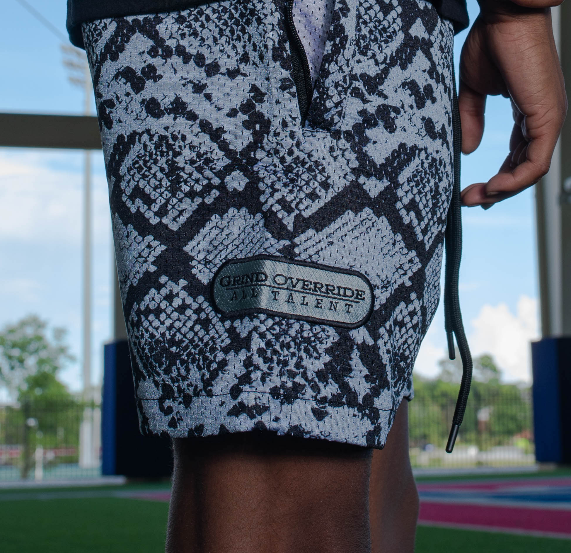 Jordan snakeskin outlet shorts